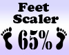 Feet Scaler 65%