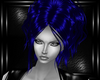 blue dahlia hairs