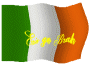 Irelands flag