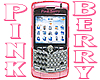 oYo PinkBerry Cell Phone