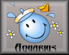 Cute Aquarius Birth Sign