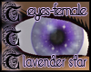 TTT Lavender Star Eyes F