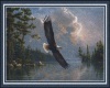 Eagle In Flight WH