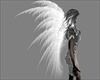 SL Angel Wings White