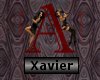 Xavier HP Tag