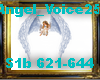 Angel_Voice25