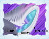 ꨄStacy Earsꨄ