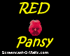 Pansy ~ Red sticker