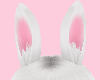 Baby Bunny Ears White