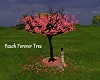 Peach Forever Tree