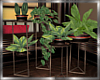 Escape Island Plant Set