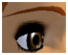 [CA] Copper Eyebrows
