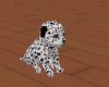Sparky~ Dalmation PUPPY