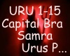 Capital Bra , Samra