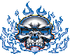 Blue Burn Skull
