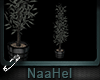 [NAH] Plants