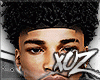 xOz WET!  Curls '25