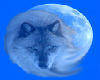 Blue Moon Wolf Wall