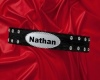 Nathan's Pet Collar