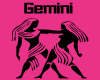 Female Pink Gemini T