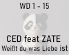 Ced feat Zate LiebeIst
