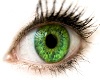 Green/yellow eyes