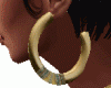 CCP Gold Earrings