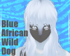 BlueWildDog-MaleHair V4