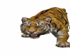 ANIMATED TIGER