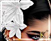ḸƘ® White Lilies