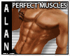 Musculos Perfect V,2