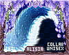 ⟡ Snöw Tail