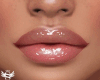 Zell Lip Gloss &Piercing