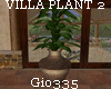 [Gio]VILLA PLANT 2