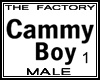 TF Cammy Boy Avatar