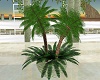 Island Deck Palm Planter