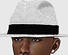 Panama Hat v2
