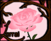 [L] Purdyful Rose v2