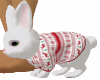 Saras Bunny