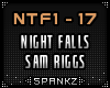 Night Falls - Sam Riggs