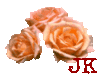 Peach Roses 01