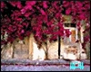Ambient Street Flowered