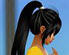 black ponytail