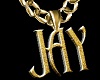 Z Jay Thick Necklace
