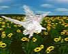 Flying feather 3 fairys