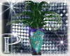 Peacock plant
