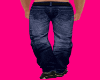 Caz Blue Jeans 2