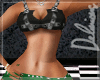 [D]XbmPregoSalut3