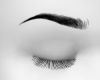 Bhad  Eyebrows
