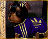 I~Yorkie*Sport*Royal&G*